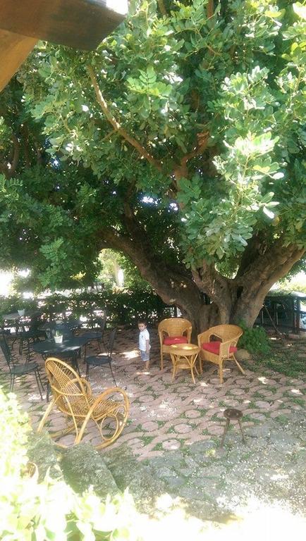 B&B La Scapola Mattinata Εξωτερικό φωτογραφία