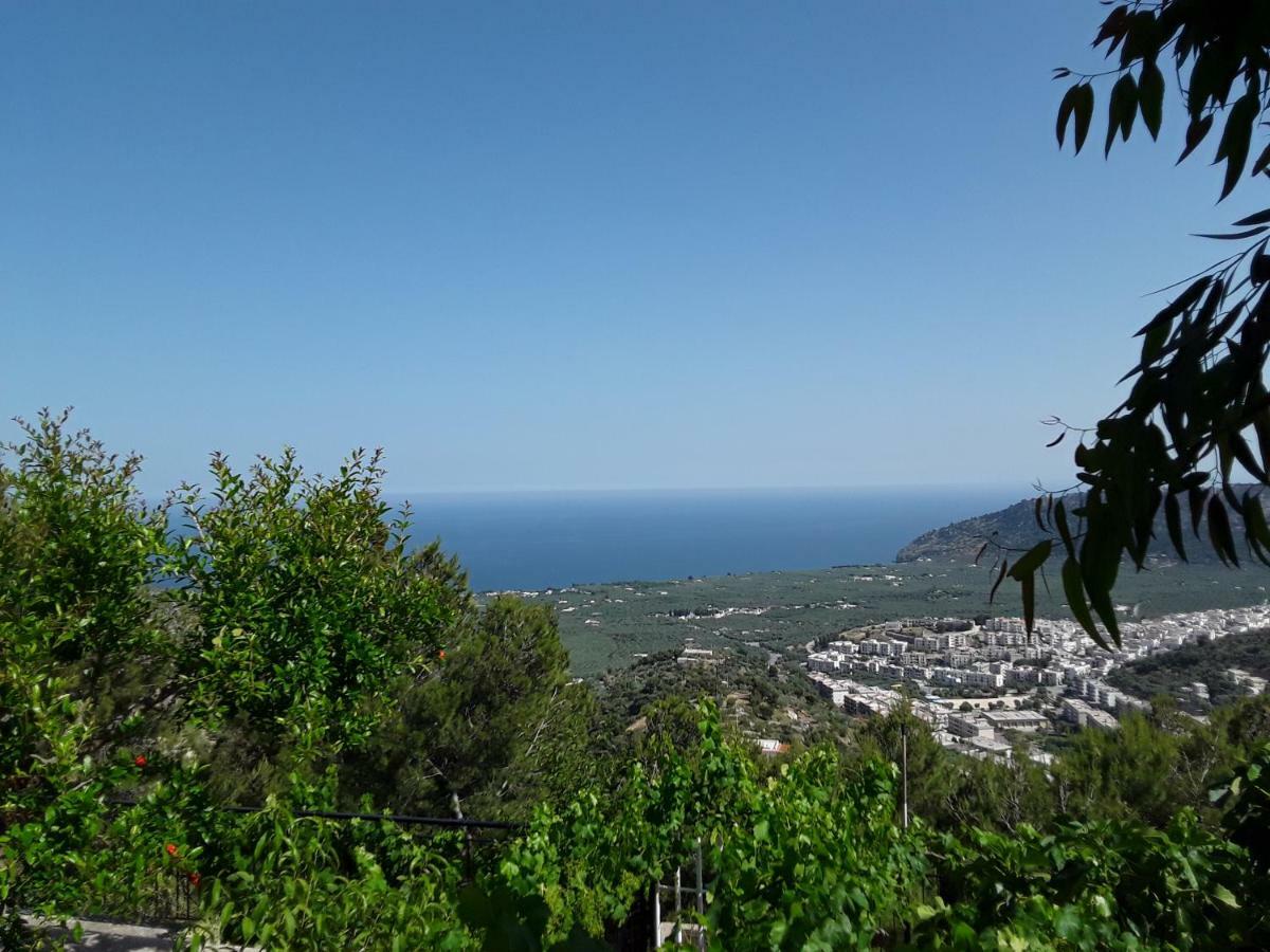 B&B La Scapola Mattinata Εξωτερικό φωτογραφία
